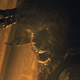 Image for article titled Action Shots From Zombieland Supernatural And Wolfman, Glamour Shots Of New Moon's Italian Vampires